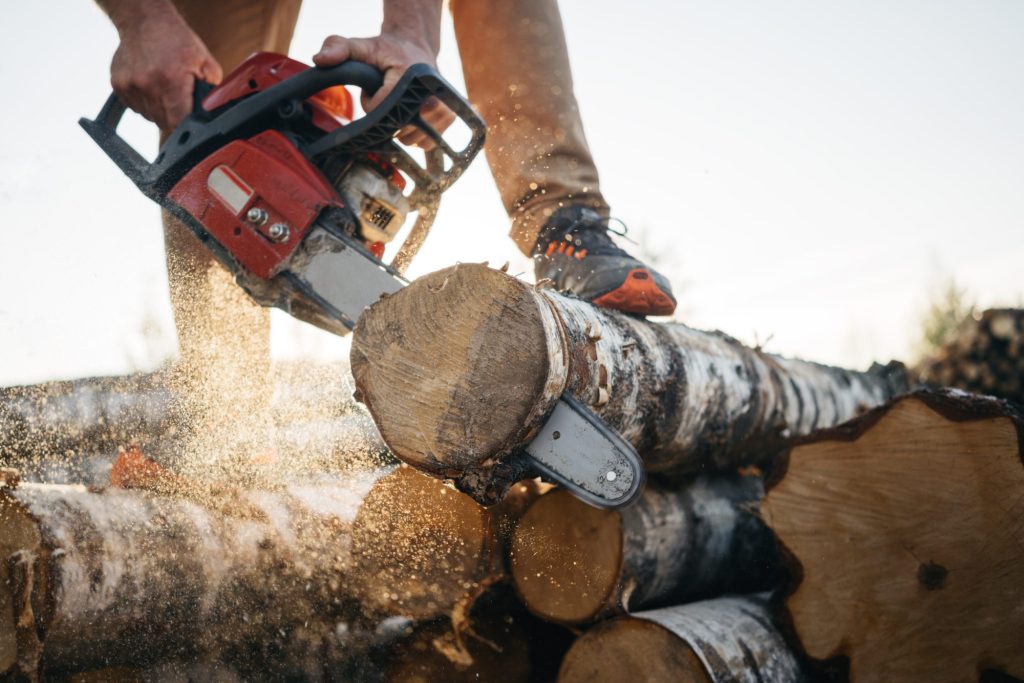 Chainsaw cutting log